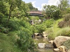 -云溪植物园