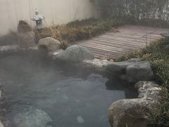si tang-徂徕山森林康养度假谷温泉