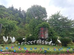 -广州白江湖森林公园