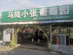 -马陆小张葡萄园农家乐