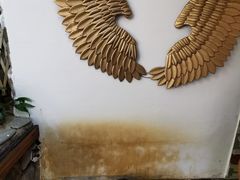 -喵屿·大理花园猫咖