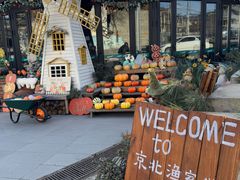 -京北渔家傲