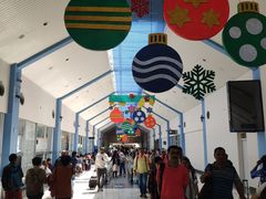 -班达拉奈克国际机场