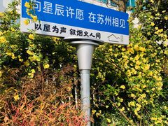-树山生态村