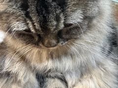 -1013 PET SHOP 宠物商店(近铁城市广场店)