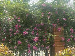 -南京外国语学校(仙林分校西区)