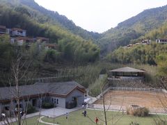-宁海安岚·南溪阁全日餐厅