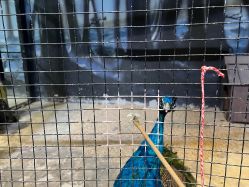 -酷嗒动物文化乐园(cutezoo西溪乐天城店)