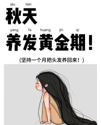 -木北造型