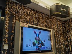 -环球梦主题KTV(曲阳生活购物中心店)