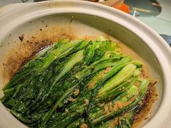 -三强鸽子(中原路店)