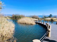 -西昌邛海湿地
