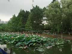 -白塘生态植物园