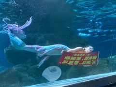 -大连圣亚海洋世界