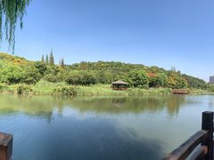 -绍兴镜湖国家城市湿地公园