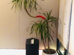 -连鹭海鲜·海肠捞饭·海胆饭(星海店)