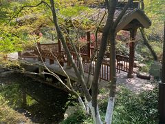 -杭州半山国家森林公园