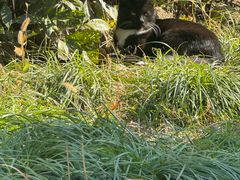 -极速星辰卡丁车赛车场(西山店)