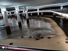 -演武大桥观景平台