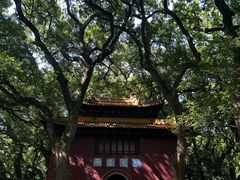 -普陀山风景名胜区-法雨禅寺