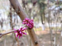 -白塘生态植物园