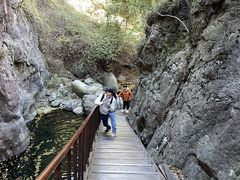 -云岫谷游猎自然风景区