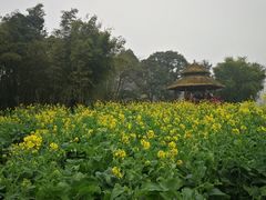 -广州市石门国家森林公园