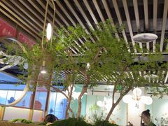 -鲜潭蒸汽石锅鱼(五道口购物中心店)