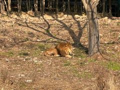 -宁波野生动物园