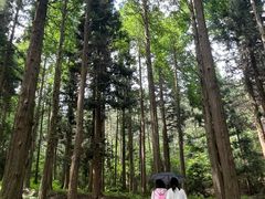 -罗田薄刀峰风景区