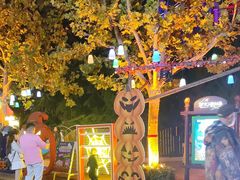 -青岛方特梦幻王国