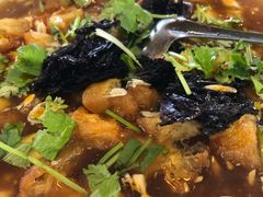 -呼吸森林·生态农庄农家乐私房菜