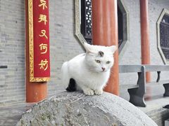 -句容茅山景区