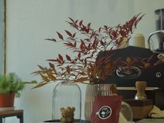 -red donkey coffee