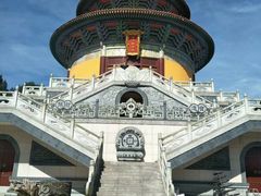 -铁山坪森林公园