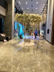 -苏州希尔顿酒店-宴会厅