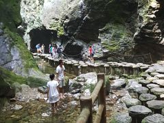 -牛背梁国家森林公园