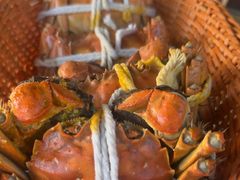 清蒸大闸蟹-蟹村草堂·苏式园林人文农家·大闸蟹