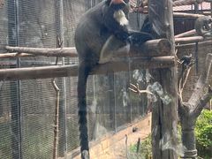 -石家庄市动物园