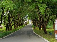 -同里国家湿地公园