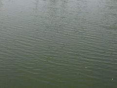 -滨江森林公园-真人CS野战场