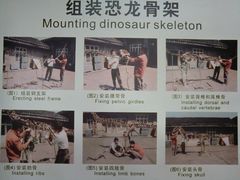 -自贡恐龙博物馆