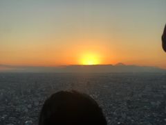 -东京都厅舍