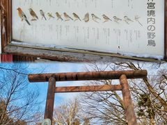 -北海道神宫