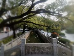 -安亭老街