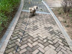-宠颐生宠物医院·心肾内科·猫专科诊疗中心宠巢店