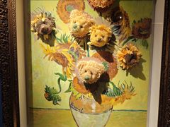 -成都泰迪熊博物馆