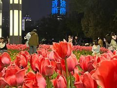 -泉城广场
