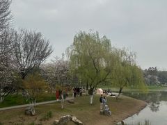 -堤角公园