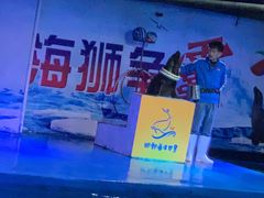 -邯郸海洋世界